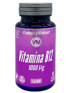 Vitamina B12 1000 mcg 60 cápsulas vegetales Ynsadiet