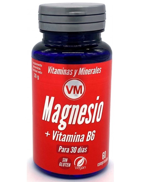 Magnesio + Vitamina B6 60 comprimidos Ynsadiet