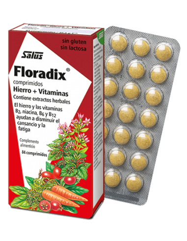 Floradix 84 ▷ Comprar Floradix · Salus | HERBODELICIAS