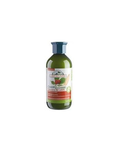 Champu reforzante ginseng ginkgo Corpore sano 300+300ml