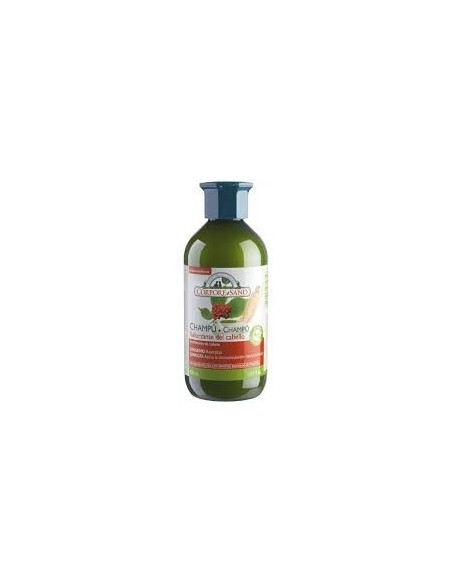 Champu reforzante ginseng ginkgo Corpore sano 300+300ml