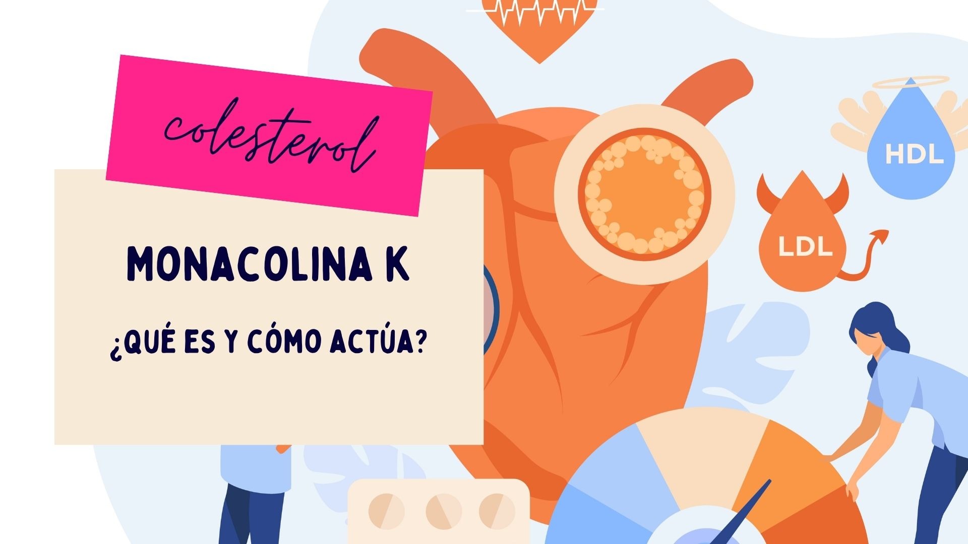 Monacolina K: qué es, cómo actúa y qué suplemento elegir [2025]